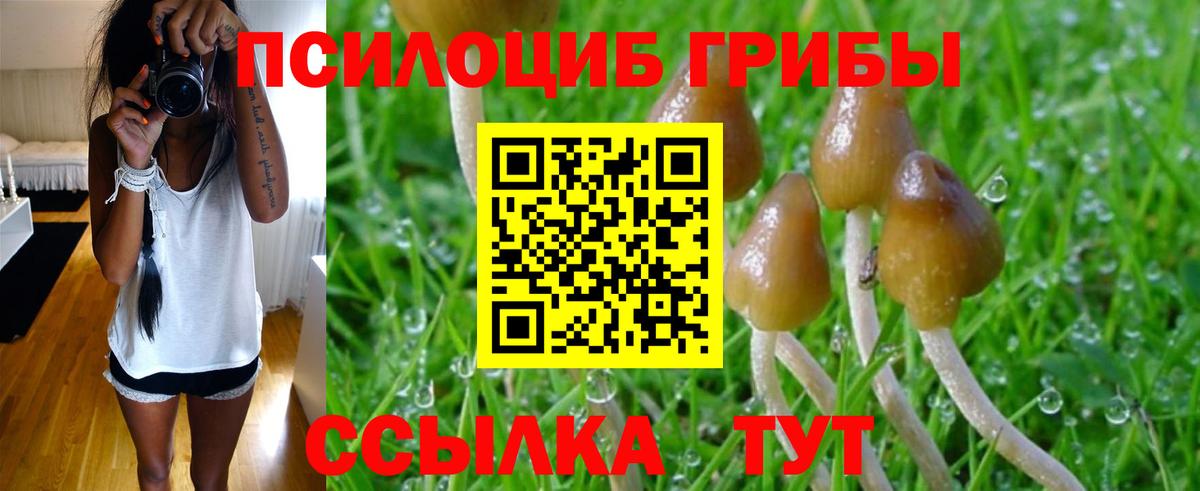 Канабис  Вход с VPN  Красный Сулин  МЕФ   ЭКСТАЗИ  Гашиш  APVP СОЛЬ   Марихуана 